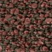 Mottled texture of rounded forms in reddish-brown and dark gray, resembling dried petals, densely clustered with a matte, organic appearance.
